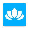 蜜桃看片播放器
